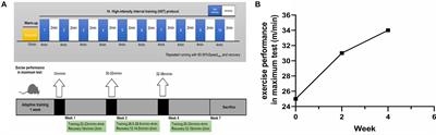 Elevated Lactate by High-Intensity Interval Training Regulates the Hippocampal BDNF Expression and the Mitochondrial Quality Control System